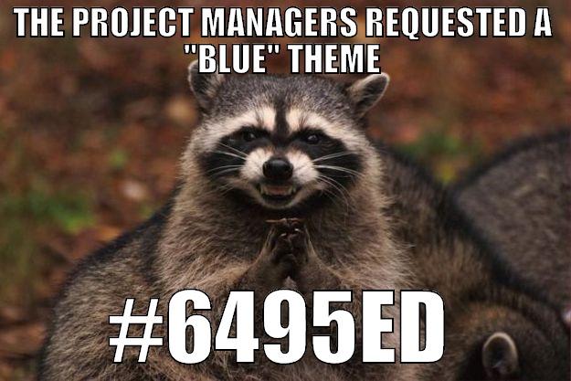 Cornflower blue - THE PROJECT MANAGERS REQUESTED A 