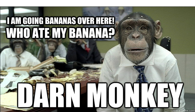 I am going Bananas over here! Darn Monkey Who ate my banana?  Chimp Ad Pitch