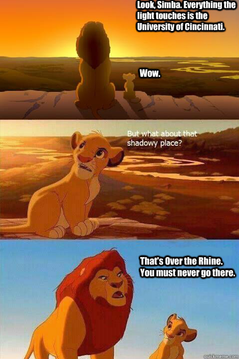 Look, Simba. Everything the light touches is the University of Cincinnati. Wow. That's Over the Rhine. You must never go there.   Lion King Shadowy Place