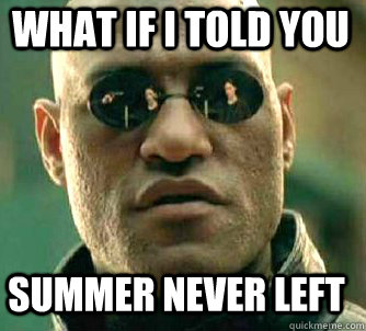 what if i told you summer never left  Matrix Morpheus