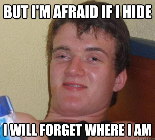 But I'm afraid if I hide I will forget where I am  10 Guy