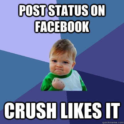 Post status on Facebook crush likes it  Success Kid