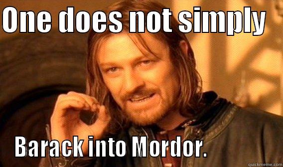 ONE DOES NOT SIMPLY    BARACK INTO MORDOR.               One Does Not Simply