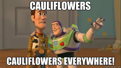 Cauliflowers cauliflowers everywhere! - Cauliflowers cauliflowers everywhere!  Everywhere