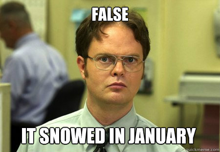 False it snowed in january  