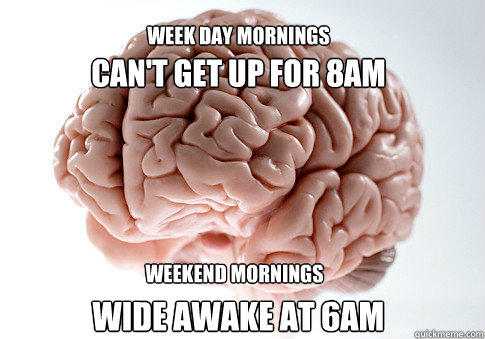 can't get up for 8am wide awake at 6am WEEK DAY MORNINGS WEEKEND MORNINGS  Scumbag Brain