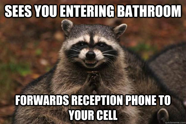 sees you entering bathroom forwards reception phone to your cell   Evil Plotting Raccoon