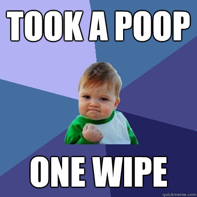 Took a poop one wipe  Success Kid