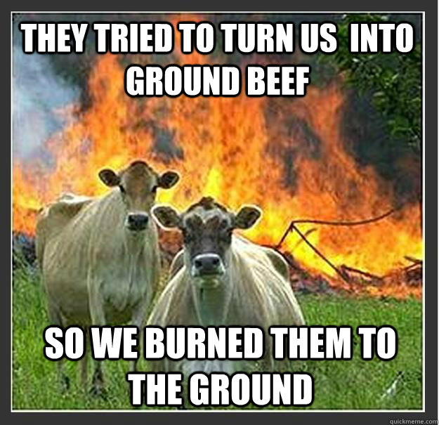 They tried to turn us  into ground beef so we burned them to the ground  Evil cows