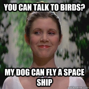 You can talk to birds? My dog can fly a space ship  Disney Princess Leia