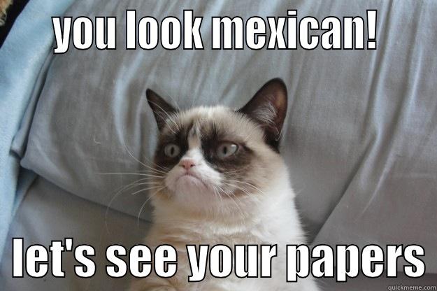     YOU LOOK MEXICAN!       LET'S SEE YOUR PAPERS Grumpy Cat