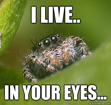 I live.. in your eyes...  Misunderstood Spider