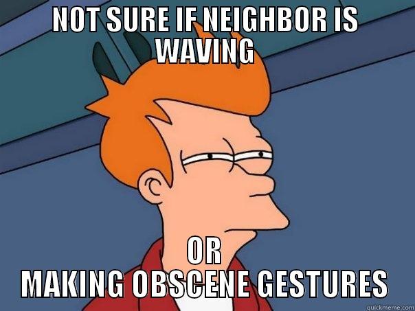 NOT SURE IF NEIGHBOR IS WAVING OR MAKING OBSCENE GESTURES Futurama Fry