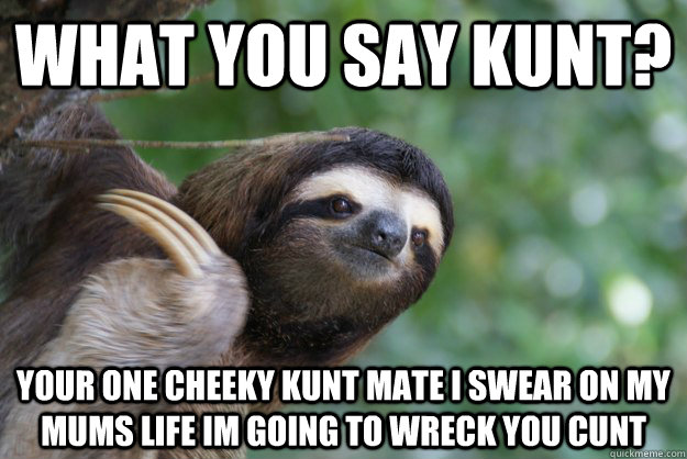 What you say kunt? Your one cheeky kunt mate i swear on my mums life im going to wreck you cunt - What you say kunt? Your one cheeky kunt mate i swear on my mums life im going to wreck you cunt  offended sloth