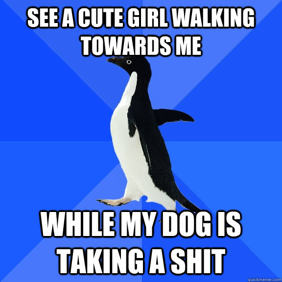 see a cute girl walking towards me while my dog is taking a shit  Socially Awkward Penguin