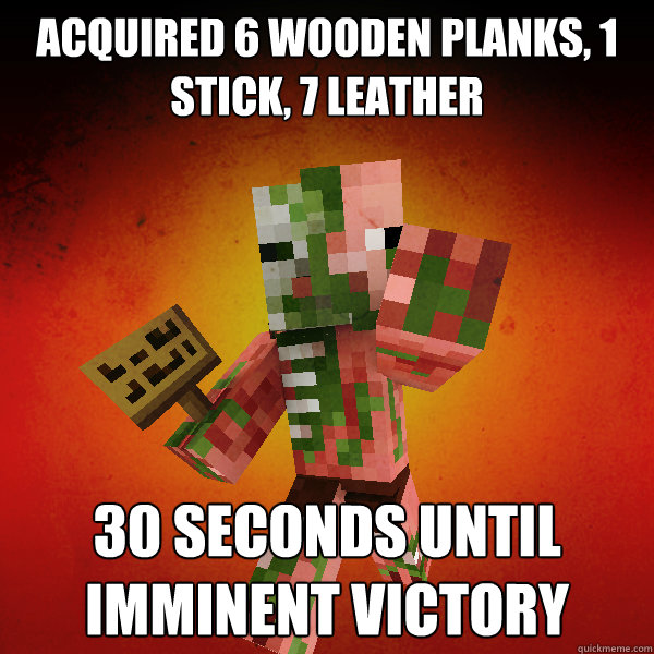 acquired 6 wooden planks, 1 stick, 7 leather 30 seconds until imminent victory  Zombie Pigman Zisteau