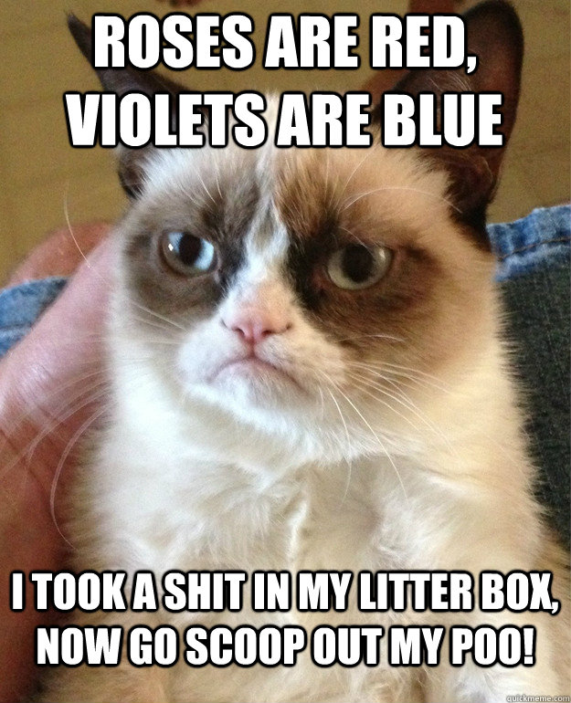 roses are red, violets are blue i took a shit in my litter box, now go scoop out my poo!  Grumpy Cat