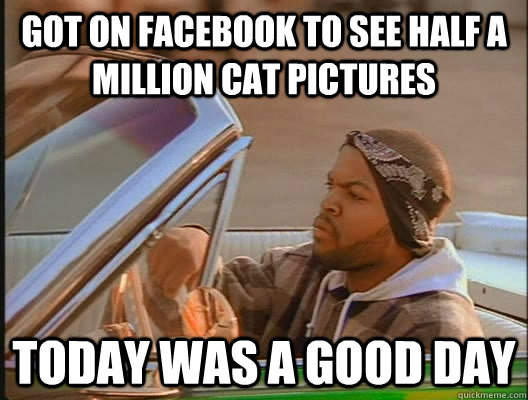 Got on Facebook to see half a million cat pictures Today was a good day  today was a good day