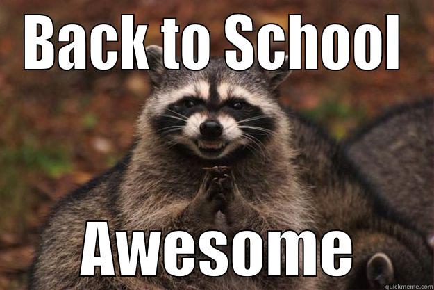 BACK TO SCHOOL  AWESOME Evil Plotting Raccoon