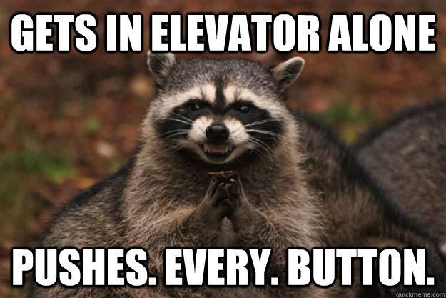 Gets in elevator alone pushes. every. button. - Gets in elevator alone pushes. every. button.  Evil Plotting Raccoon