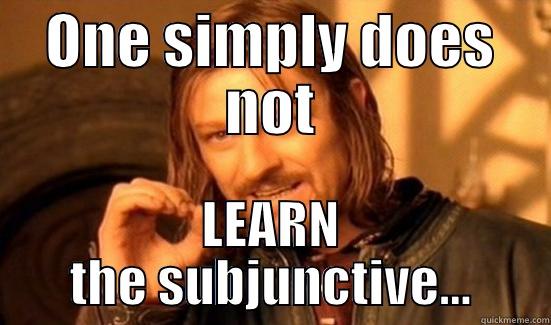 ONE SIMPLY DOES NOT LEARN THE SUBJUNCTIVE... Boromir