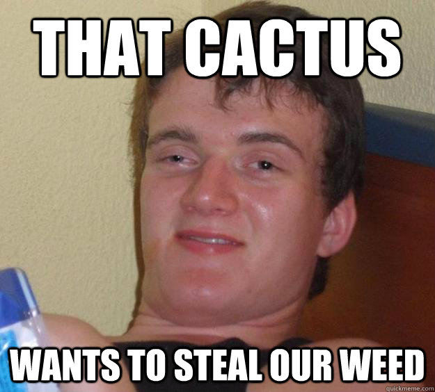 That cactus wants to steal our weed  10 Guy