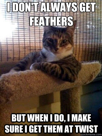 I don't always get feathers but when i do, i make sure I get them at Twist - I don't always get feathers but when i do, i make sure I get them at Twist  The Most Interesting Cat in the World