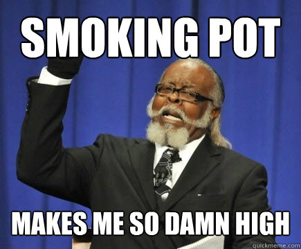 Smoking Pot makes me so damn high - Smoking Pot makes me so damn high  Too Damn High