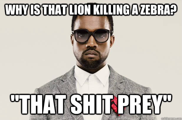 why is that lion killing a zebra? 