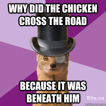 why did the chicken cross the road because it was beneath him  Highbrow Weasel