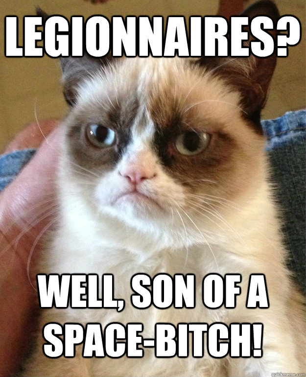 LEGIONNAIRES? Well, son of a space-bitch!  Grumpy Cat