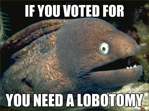 if you voted for ROMNEY You need a lobotomy  Bad Joke Eel