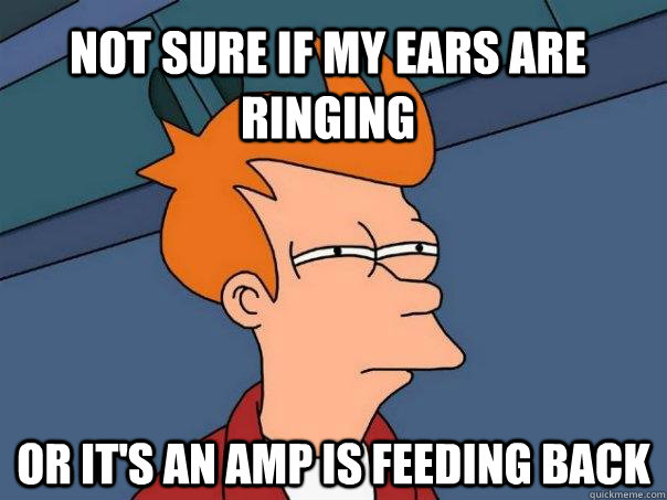 Not sure if my ears are ringing or it's an amp is feeding back  Futurama Fry