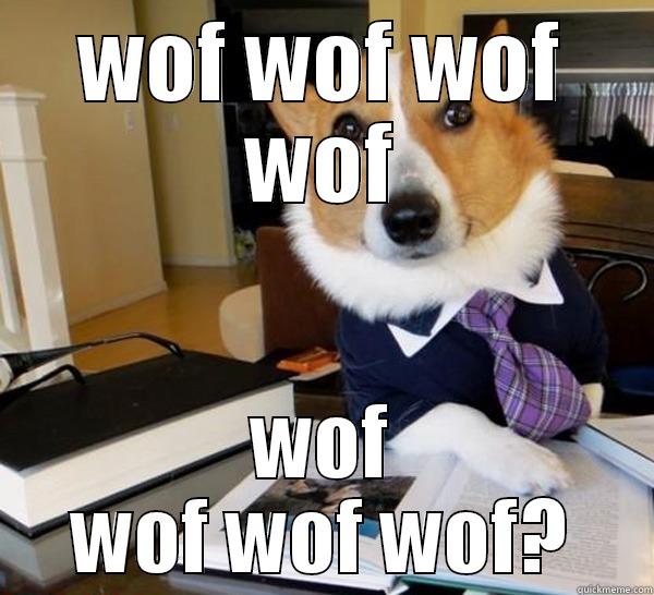 WOF WOF WOF WOF WOF WOF WOF WOF? Lawyer Dog