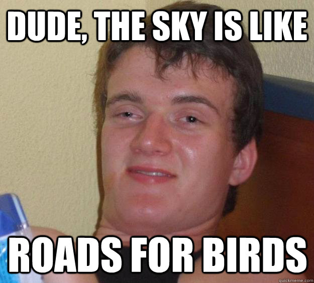 Dude, the sky is like roads for birds  10 Guy