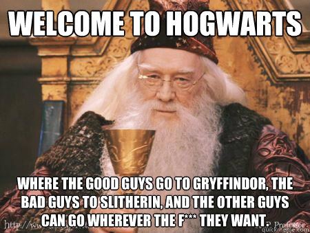 Welcome to Hogwarts Where the good guys go to Gryffindor, the bad guys to Slitherin, and the other guys can go wherever the f*** they want.  