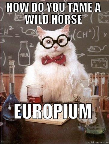 How do you tame a wild horse? - HOW DO YOU TAME A WILD HORSE EUROPIUM          Chemistry Cat