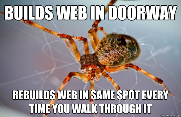 Builds web in doorway Rebuilds web in same spot every time you walk through it   Scum Bag Spider