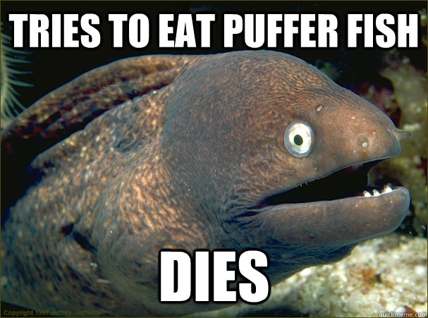 Tries to eat puffer fish Dies - Tries to eat puffer fish Dies  Bad Joke Eel