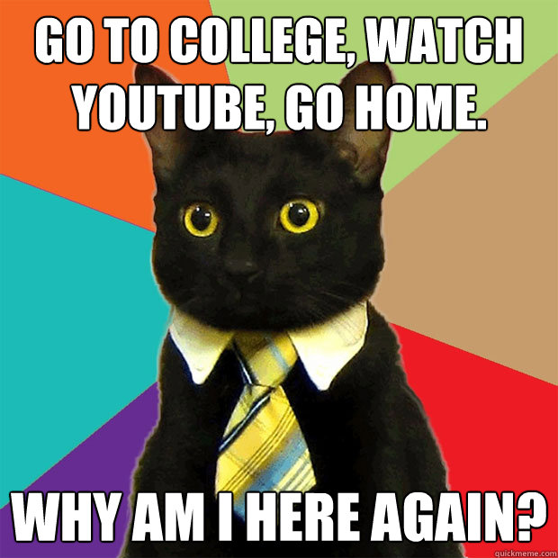 Go to college, watch youtube, go home. Why am I here again?  Business Cat