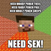 Need wood? punch trees
Need food? punch pigs
need wool? punch sheeps need sex!  Minecraft Need Meme