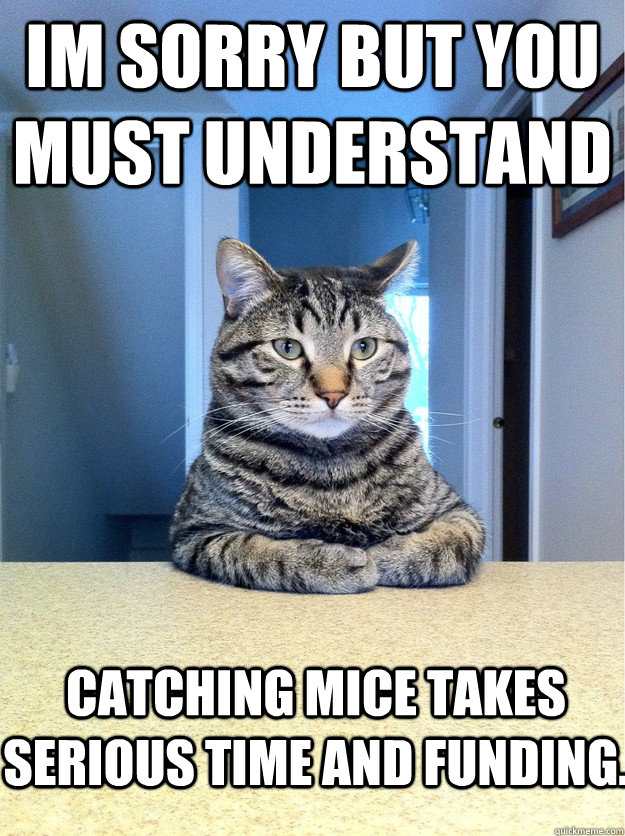 Im sorry but you must understand Catching mice takes serious time and funding. - Im sorry but you must understand Catching mice takes serious time and funding.  Professional Kitteh