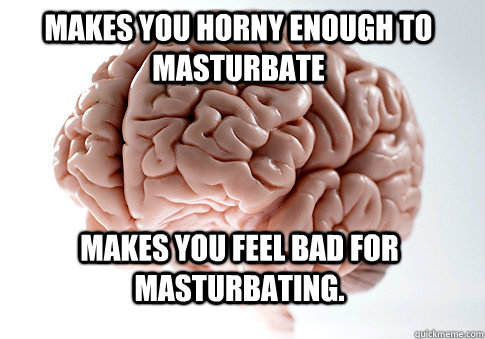 makes you horny enough to masturbate makes you feel bad for masturbating.   Scumbag Brain