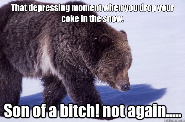 That depressing moment when you drop your coke in the snow. Son of a bitch! not again..... - That depressing moment when you drop your coke in the snow. Son of a bitch! not again.....  Coke Bear