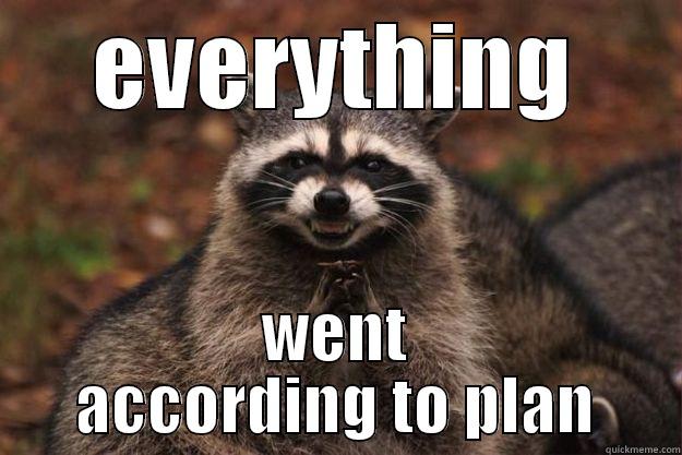 EVERYTHING WENT ACCORDING TO PLAN Evil Plotting Raccoon