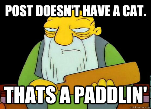 Post doesn't have a cat. Thats a paddlin'  