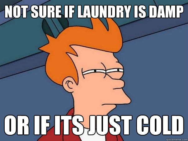 Not sure if laundry is damp Or if its just cold   Futurama Fry