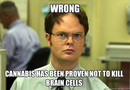 WRONG Cannabis has been proven not to kill brain cells  Dwight