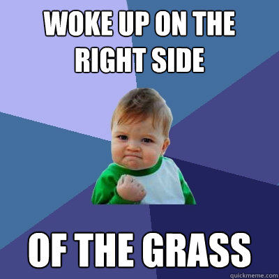 woke up on the right side of the grass  Success Kid