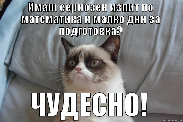 Our test  - ИМАШ СЕРИОЗЕН ИЗПИТ ПО МАТЕМАТИКА И МАЛКО ДНИ ЗА ПОДГОТОВКА? ЧУДЕСНО! Grumpy Cat